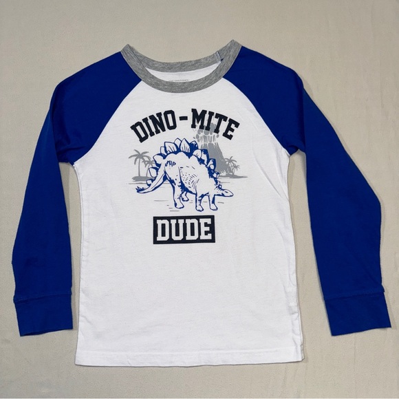 Dinosaur Pajamas Boy’s 5T Gray Set PJs Dino Mite Dude Cozy Fall Warm Winter Cute - Picture 3 of 10